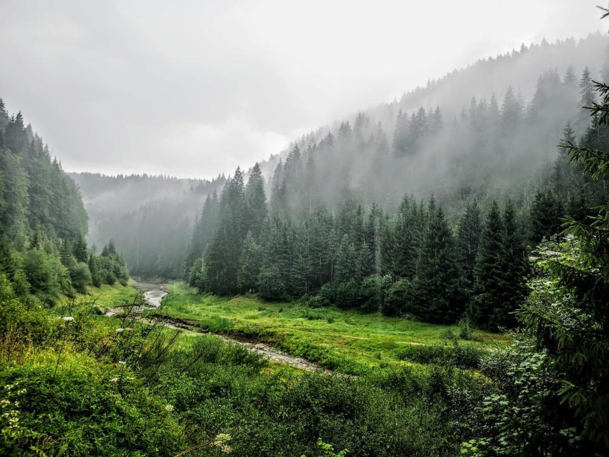 Zlatarske Brvnare Zlatar Chalets Nova Varoš Eksteriør billede