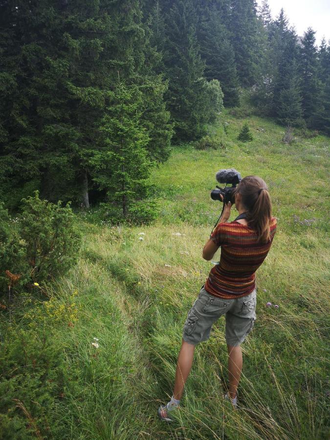 Zlatarske Brvnare Zlatar Chalets Nova Varoš Eksteriør billede